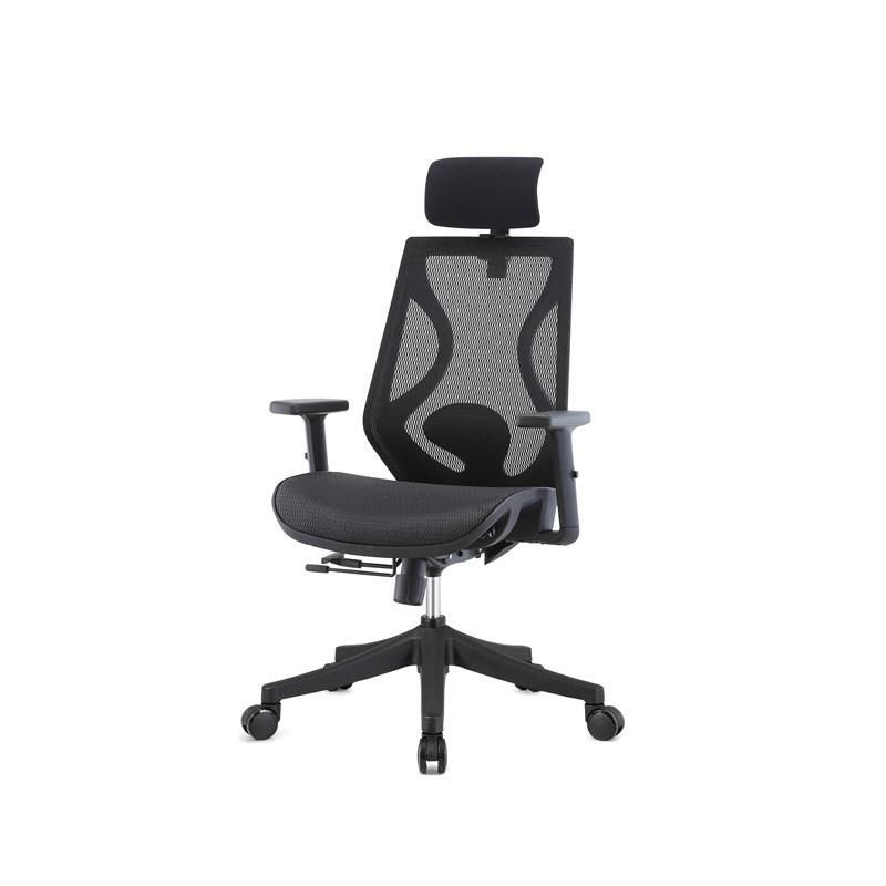 Mesh Back Executive Ergonomic Adjustable Home Office Swivel Office Chair with Footstool Option