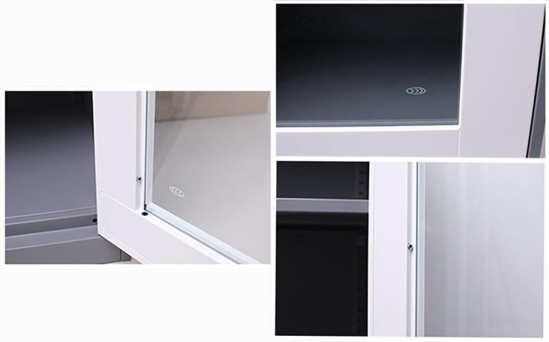New Fashion Double Swing Glass Door File Cabinet