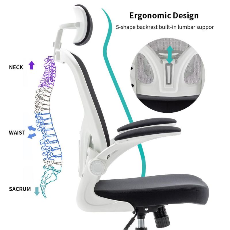 China Huashi Furniture Manufacturing High Back Ergonomic Swivel Office Computer Chair