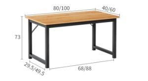 Metal Modern Design Computer Desk