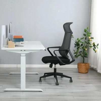 Elites Fashionable Dual Motors Electric Height Adjustable Office Desk Home Desk