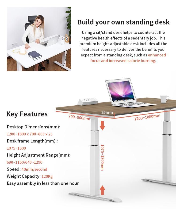 Multifunctional Electric Motor Height Adjust Office Furniture Standing Desk