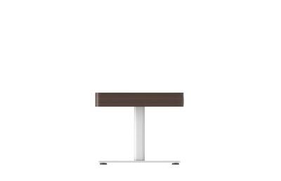 Made in China Sample Provided Wooden Furniture Fangyuan-Series 2-Legs Table