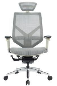 High Back Environmental Manager Chair Office Ergo Chair