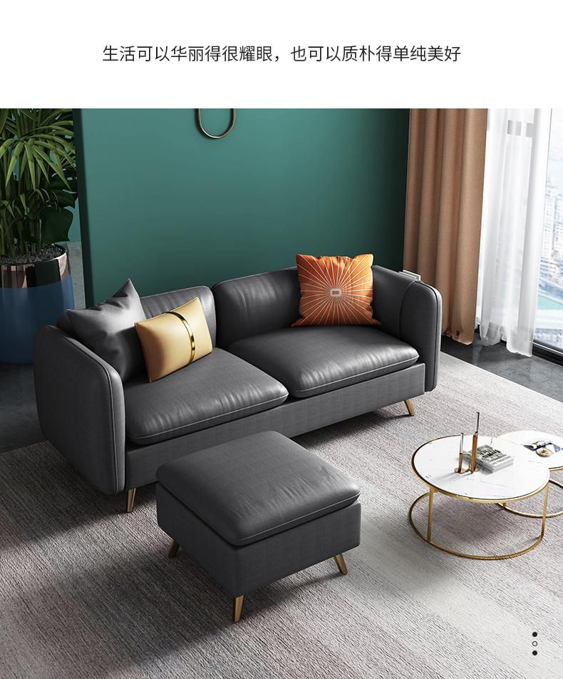 Brown MID-Century Modern Design Living Room Cloth Sofa Metal Foot Sofa