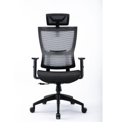 Lisung 10135 Executive Ergonomic Office Chair