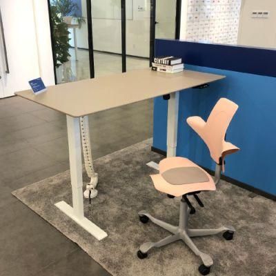 Wholesale 1100-1700mm Metal Adjust Legs Table Computer Office Desk Work Station for Standing Jc35ts-R12r-Th