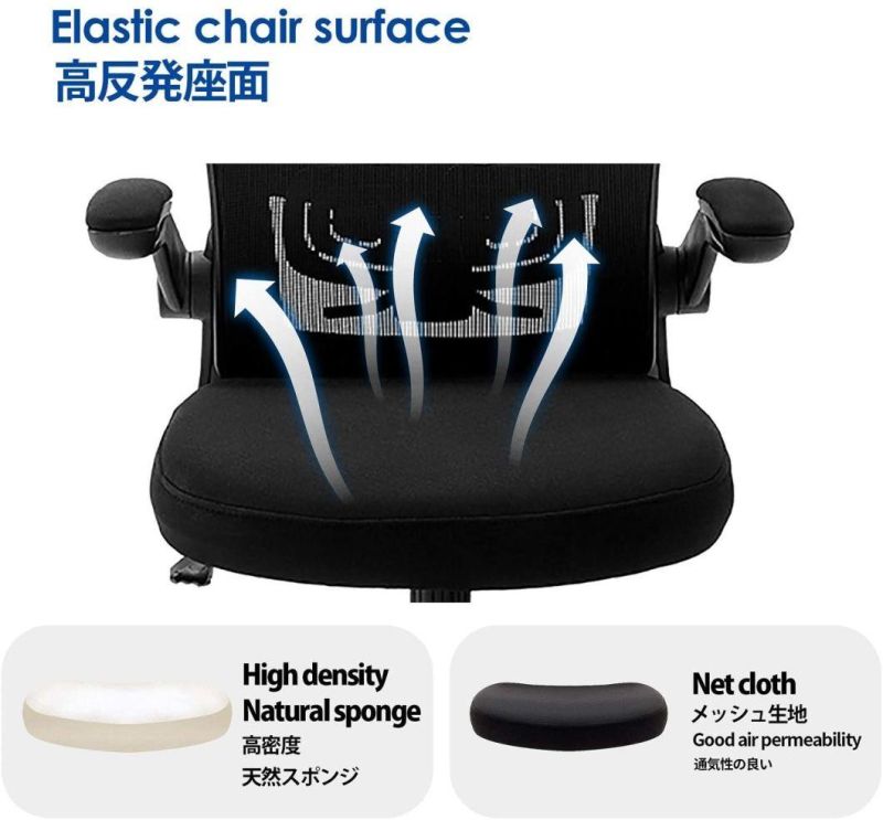 Li&Sung 10050 Ergonomic Lumbar Support Mesh Chair