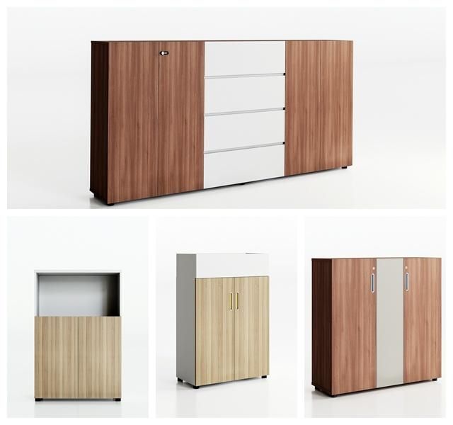 2 Doors File Cabinet Cupboard Storage