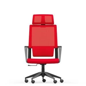 Oneray High Back Mesh Office Chair with Height Adjustable Lumbar Support Made with Mould Foam
