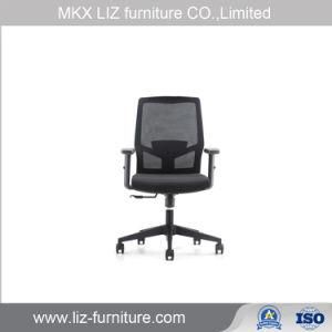 Modern Design Mesh Computer Staff Task Swivel Office Chair (243B)