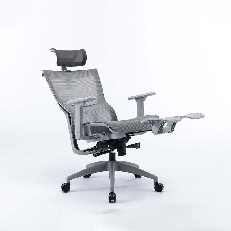 Li&Sung Ergonomic Computer Swivel Mesh Chair