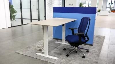 New Healthy Office Working Electric Height Adjustable Desks