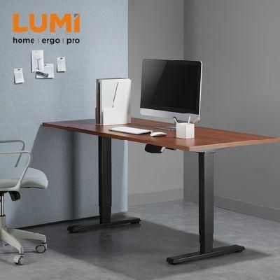 Modern Compact Dual Motor Electric Height Adjustable Office Desk