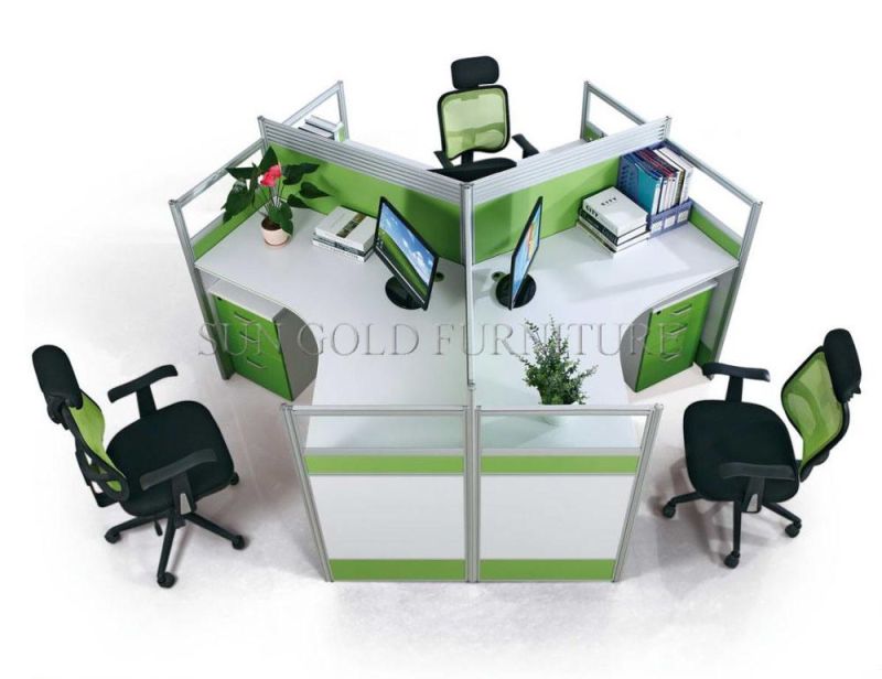 China Office Furniture 2 Person Office Workstation with Partition Wall (SZ-WS813)