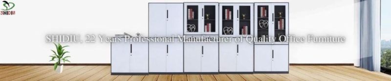 High-End Home Office Furniture Functional Large Tambour Door Filing Cabinet