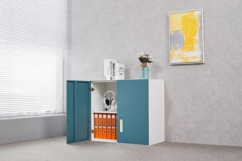 Customized Save Space Cabinet with Lock Modern Furniture