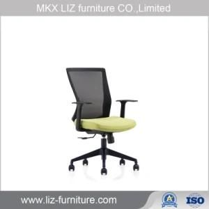 Pupolar Design Mesh Office Computer Chair with Medium Back 181b