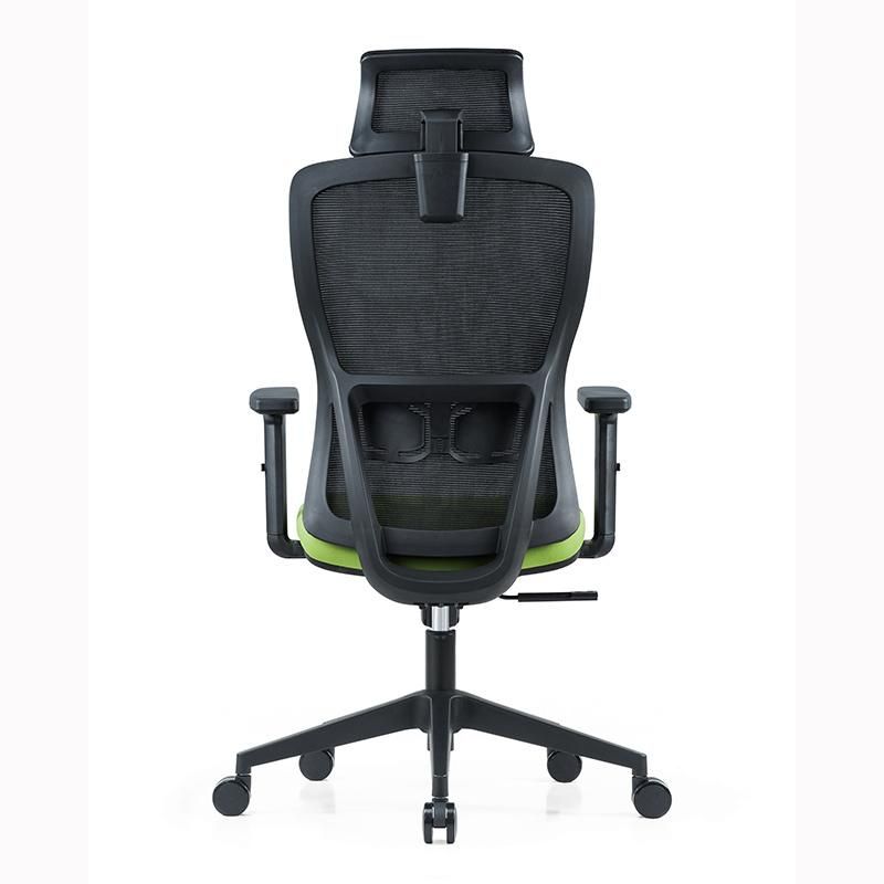 Mesh Back Adjustable Arms and Lumbar Support Designer Office Chair