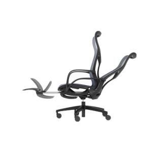 Fashionable Furniture Funky Colorful Multi Color Computer Ergonomic Chair