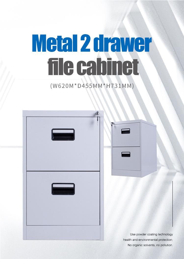 2 Drawer Vertical File Cabinets A4 Functional Metal 2 Drawer File Cabinet