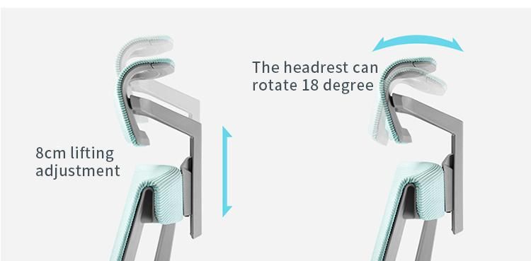 Li&Sung 10002 Adjustable Armrest Ergonomic Desk Office Mesh Chair