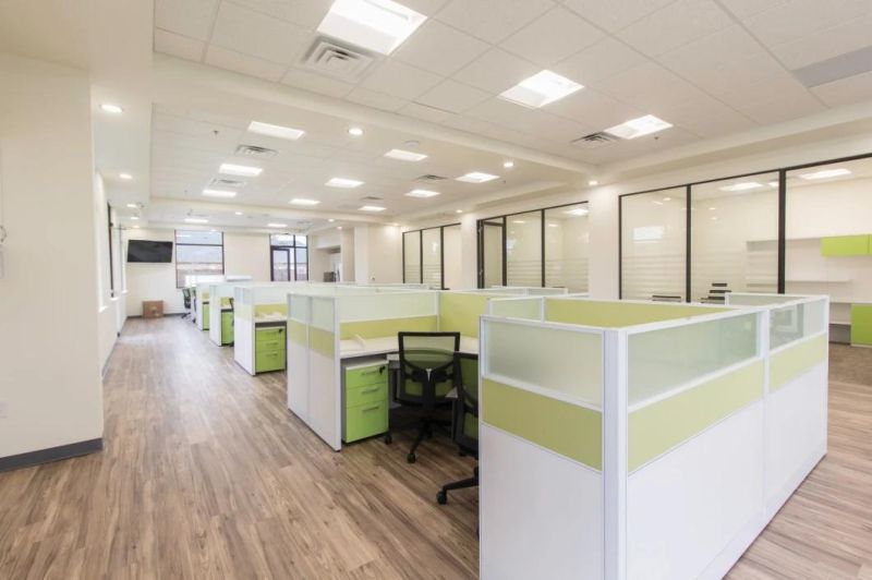 Customized Modern Green Office Cubicle in Texas