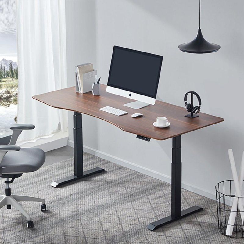 Dual Motor Height Adjustable Standing Desk Frame for Office Furniture