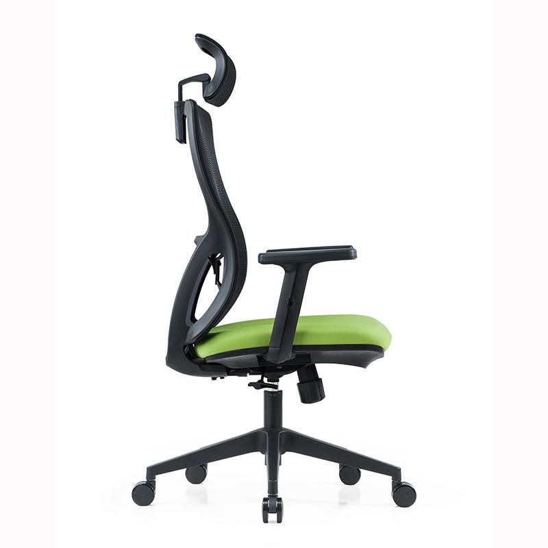 Mesh Back Adjustable Arms and Lumbar Support Designer Office Chair