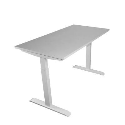 Wholesale Double Dual Motor Ergonomic Electric Lifting Foot Adjustable Height Electric Standing Office Study Table