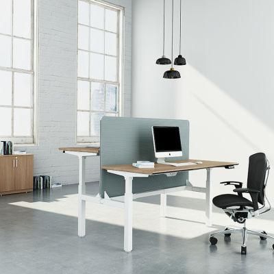 Ergonomic Electric Sit Standing Desk Manufacturer Cost Height Adjust Desk