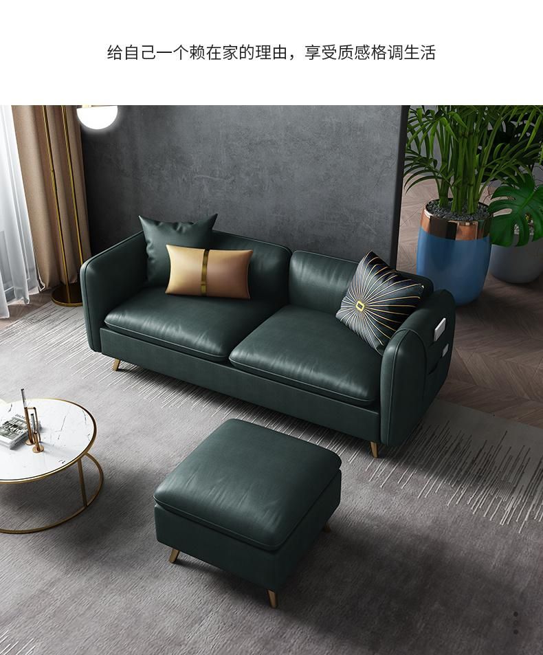 Brown MID-Century Modern Design Living Room Cloth Sofa Metal Foot Sofa