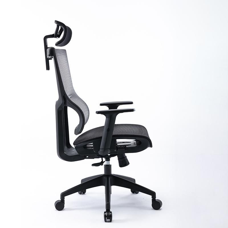 Li&Sung Q7 Ergonomic Adjustable Height Swivel Mesh Chair