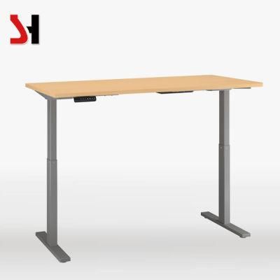 Home Standing Desk Ergonomic Adjustable Desk