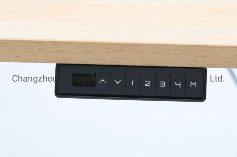 Ergonomic Sit Stand Two Motors Lifting Desk 48 Inch Table