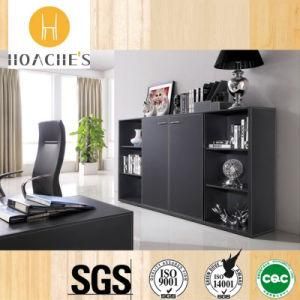 New Design Fashionable Book Cabinet for Office Used (C3)