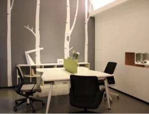 Workstation/Creative Office Furniture/Dental Office Furniture