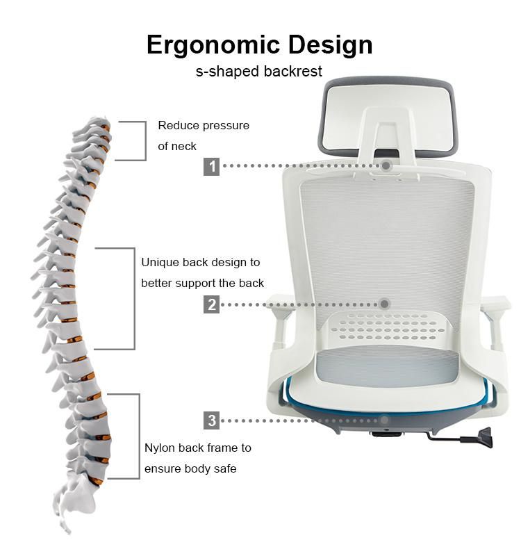 Best Selling Office Chair Mesh or Fabric Ergonomic