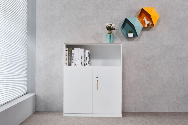 New Fashion Factory Price Steel Filing Storage Cabinet