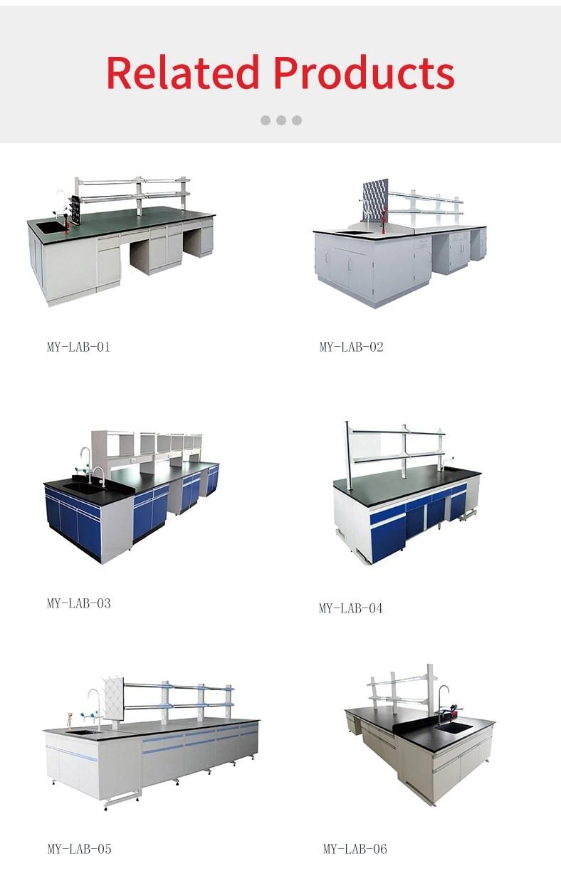 Good Price Laboratory Furniture Equipment Laboratory Work Station