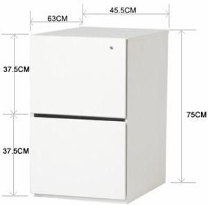 Fire Proof Cabinet Office Filing Cabinet/ Steel Cabinet