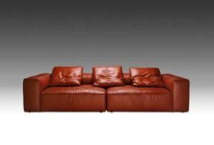 Modern Sofa (A039)
