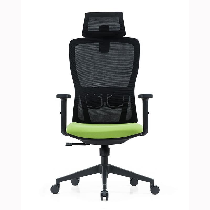 Mesh Back Adjustable Arms and Lumbar Support Designer Office Chair