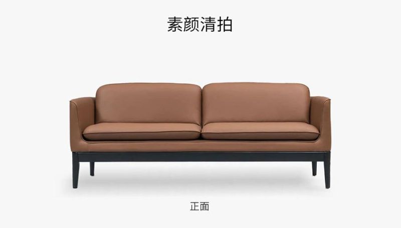 Small Design Solid Wooden Legs Leather Sofa Set for Home and Office