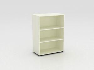 Popular Flexible Office Cupboard Storage Filing Cabinet for Home and Office