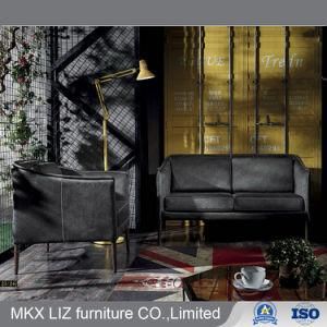 European Style Genuine Leather Leisure Lounge Sofa for Lobby&Living Room (B004-2)