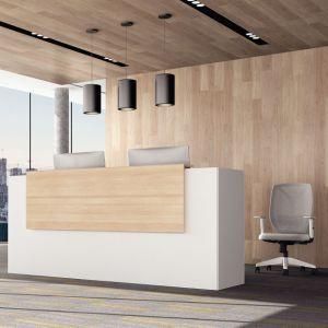 Beauty Salon Salon Counter Reception Desk Wooden Luxury Modern Office Furniture Desk