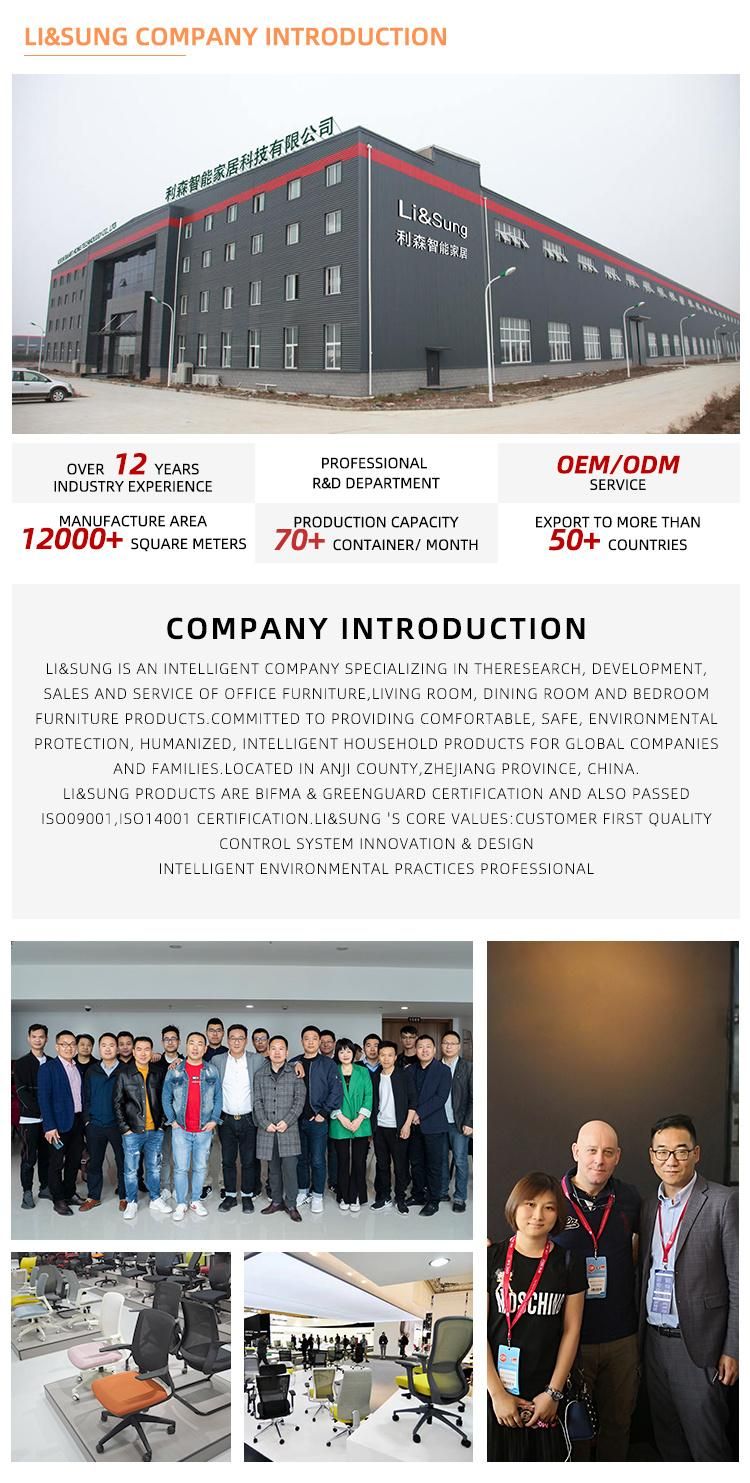 Li&Sung 10507 Multi-Functions Ergonomic Executive Office Mesh Chair