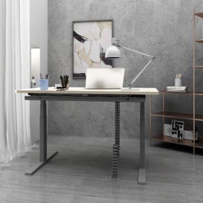 Office Sit Standing Height Adjustable Table Moving up and Down Desk with Dual Motor