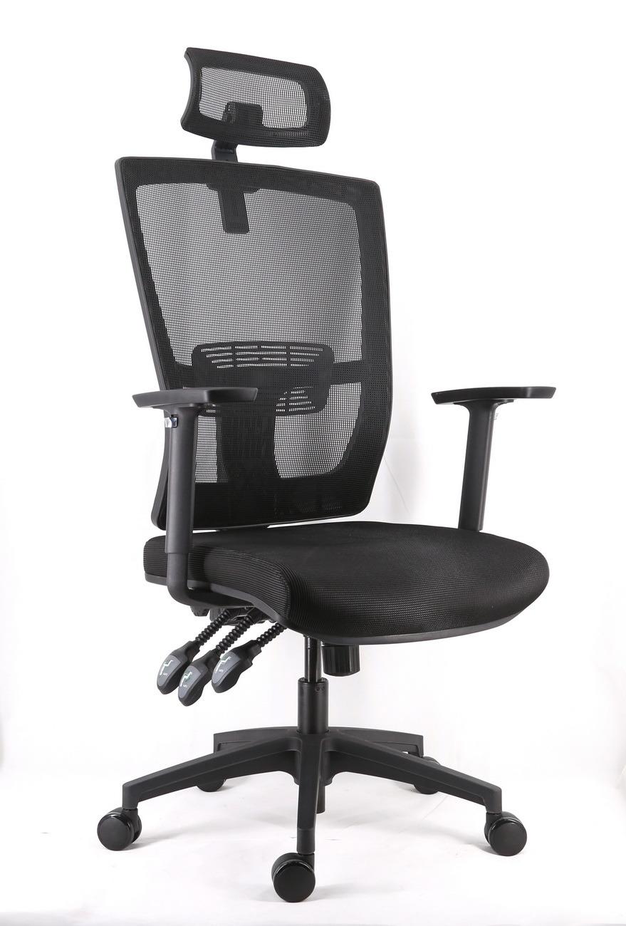 Mesh Upholstery Backrest with Lumbar Support Adjustable Armrest Simple Function Seat up and Down Mechanism Nylon Base Office Manager Chair